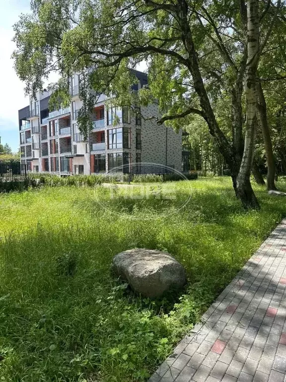 Участок в Калининградская область, Светлогорский городской округ, пос. ... - Фото 1