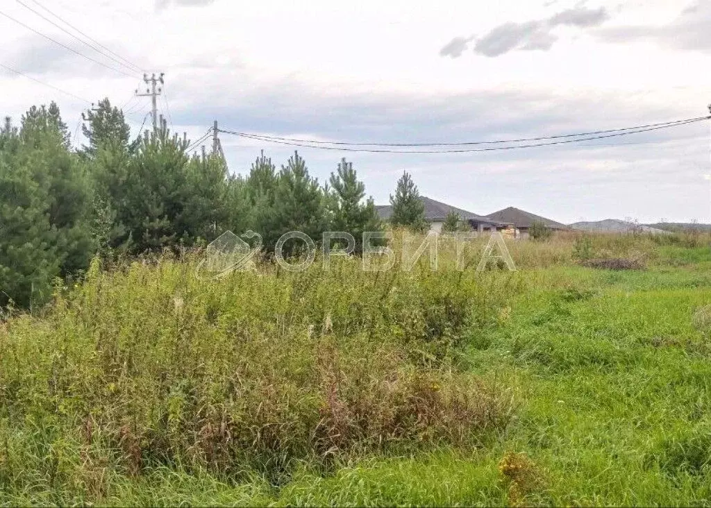 Участок в Тюменская область, Тюменский район, с. Кулига ул. ... - Фото 1