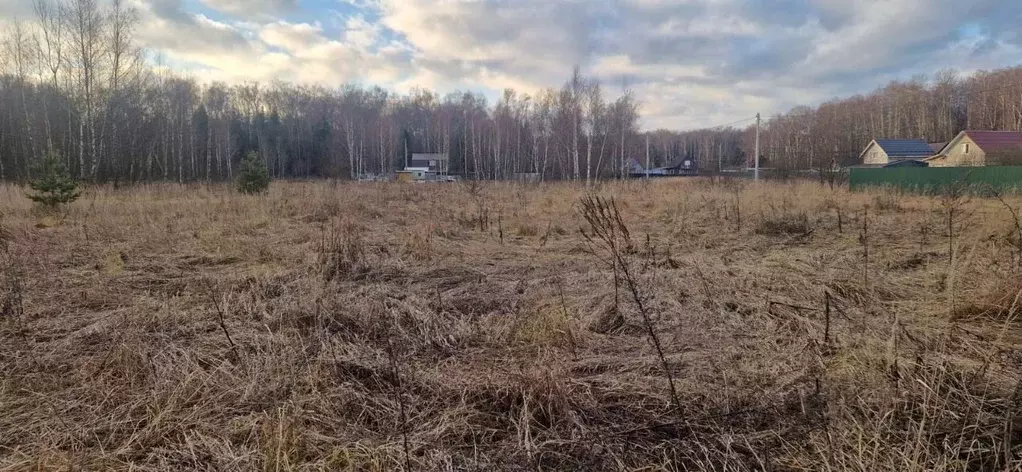 Участок в Московская область, Домодедово городской округ, с. Добрыниха ... - Фото 0