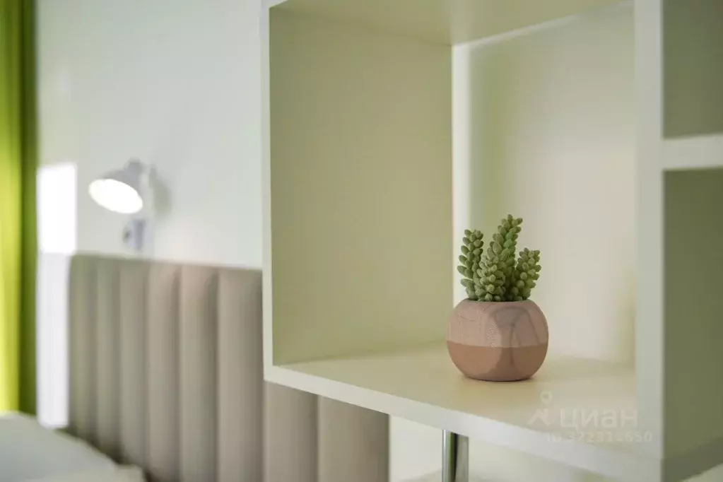 Комната Краснодарский край, Сочи Центральный мкр, ул. Навагинская, ... - Фото 1