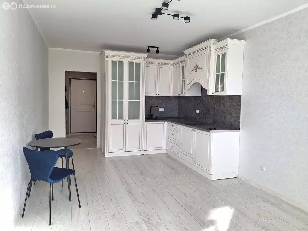 Квартира-студия: Мурино, Ручьёвский проспект, 1/24 (28.1 м) - Фото 1