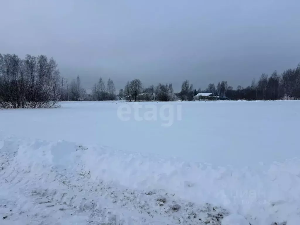 Участок в Костромская область, Красносельский район, Шолоховское ... - Фото 2