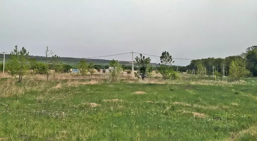 Участок в Ставропольский край, Ставрополь Виола садовое товарищество, ... - Фото 2