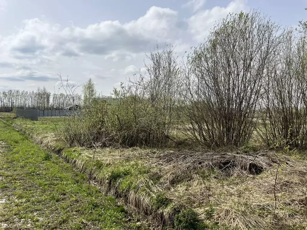 Участок в Московская область, Раменский городской округ, д. Жирово  ... - Фото 0