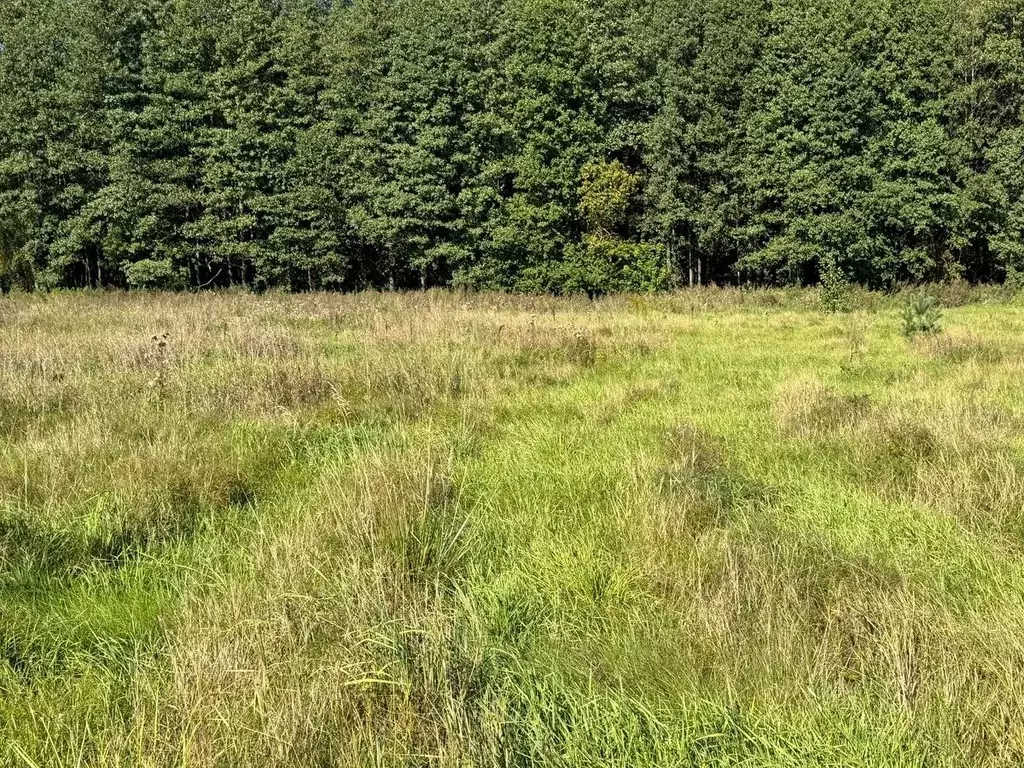 Участок в Московская область, Богородский городской округ, д. Исаково  ... - Фото 0