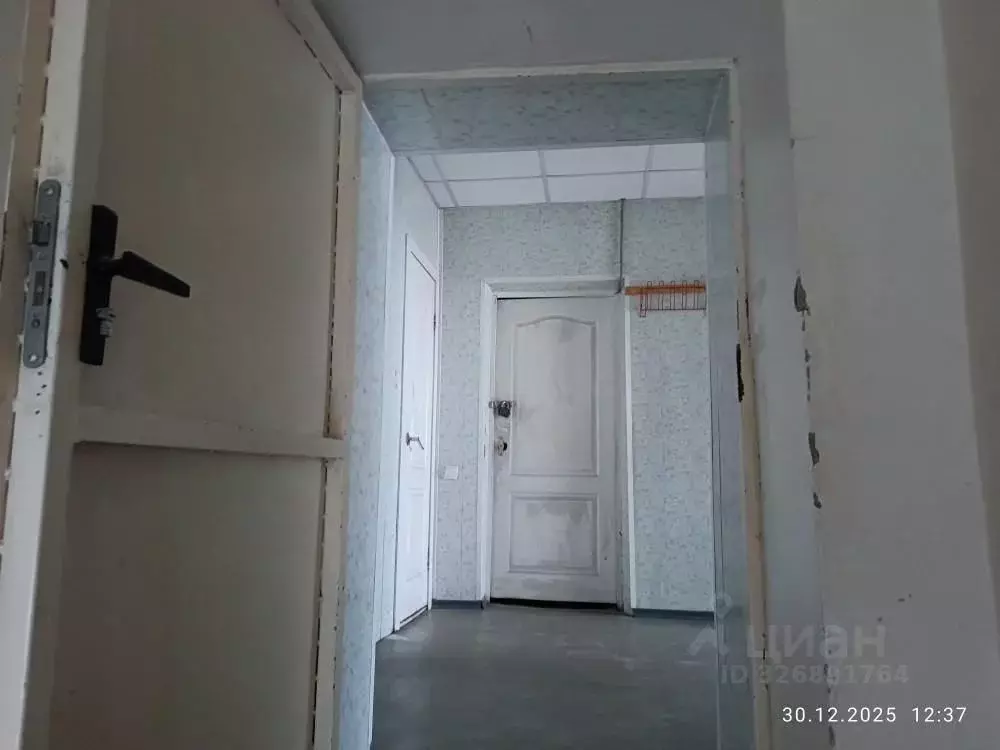 Помещение свободного назначения в Башкортостан, Белорецк ул. Карла ... - Фото 1