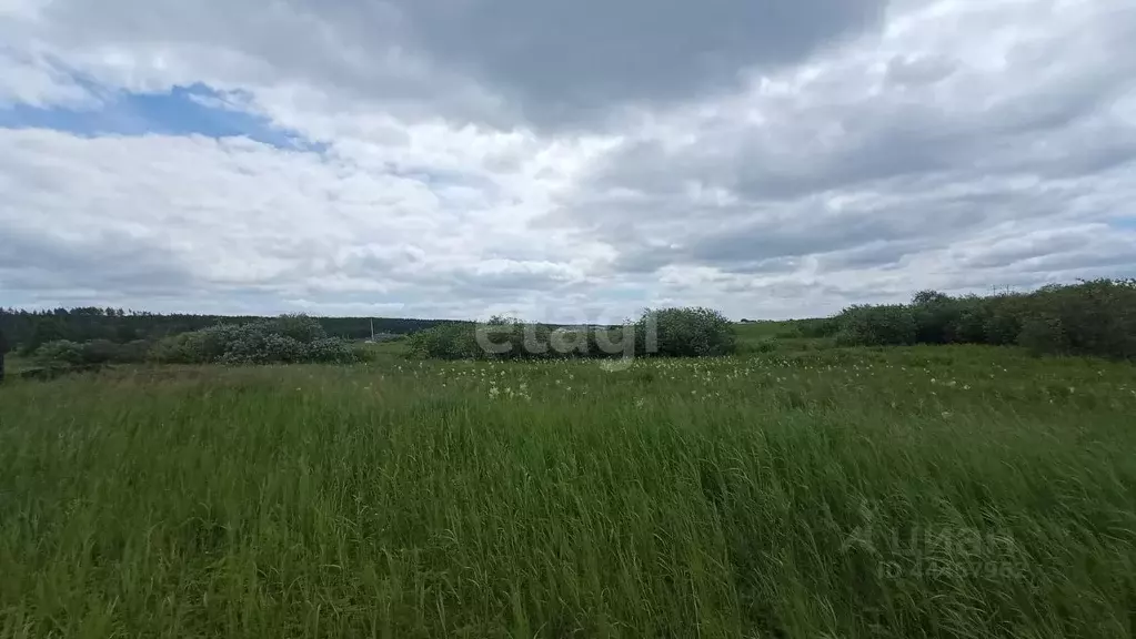 Купить Участок В Рощино Челябинской Области