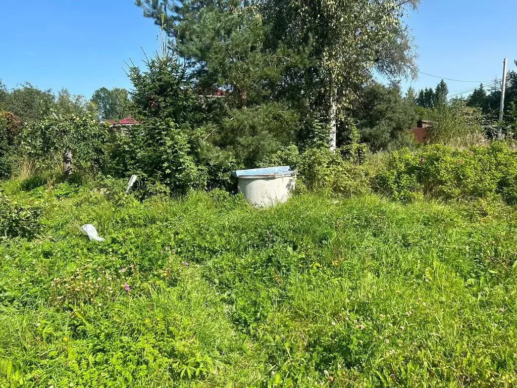 Участок в Ленинградская область, Ломоносовский район, Ропшинское ... - Фото 1