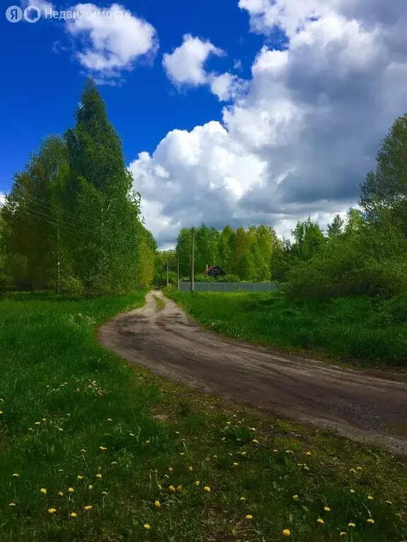 Дом в Орехово-Зуевский городской округ, СНТ Родник (42 м) - Фото 0