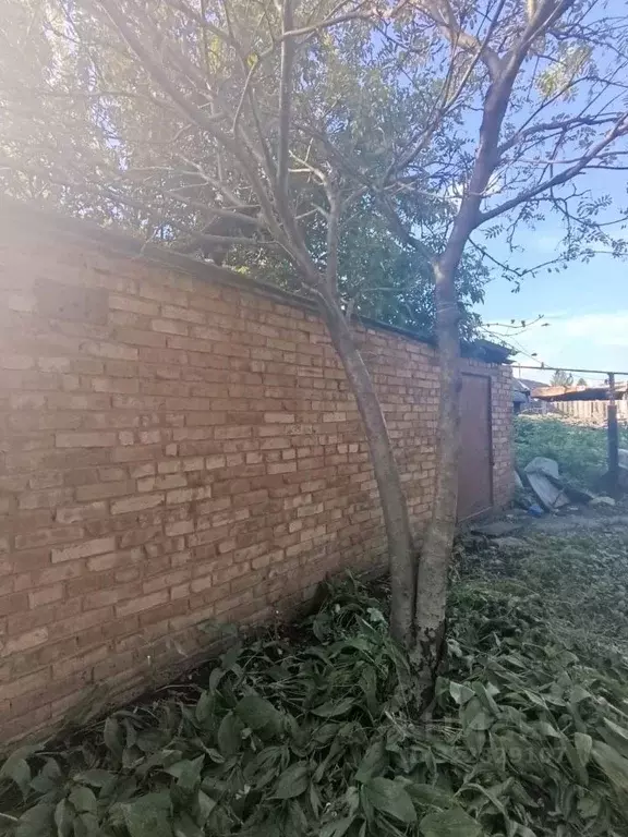 Дом в Татарстан, Альметьевск Советская ул. (67 м) - Фото 2