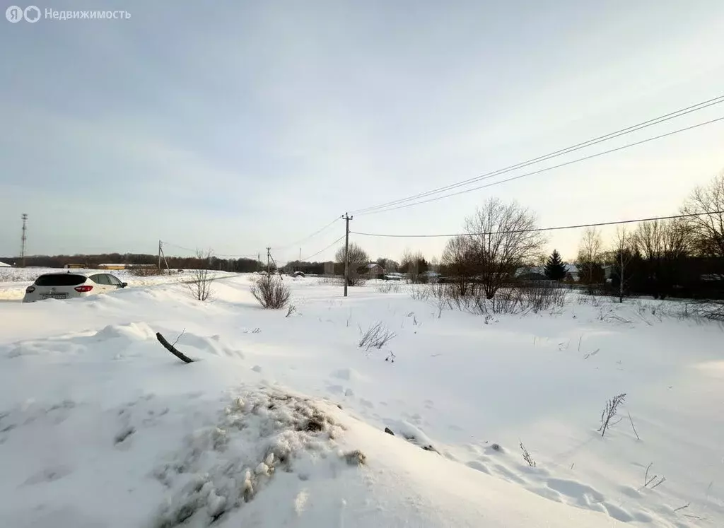 Участок в Московская область, городской округ Коломна, деревня Малое ... - Фото 2