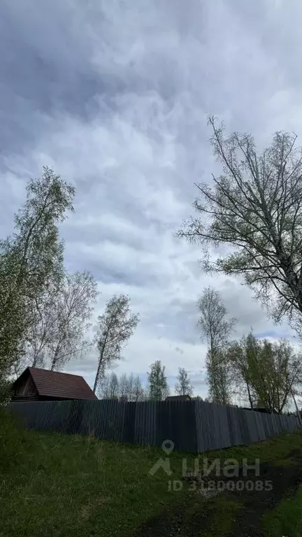 Участок в Кемеровская область, Яшкино пгт пер. Ленинский, 14 (20.0 ... - Фото 1
