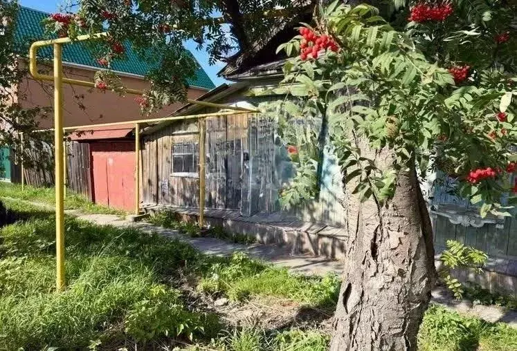 Дом в Свердловская область, Березовский ул. Свободы, 5 (33 м) - Фото 1