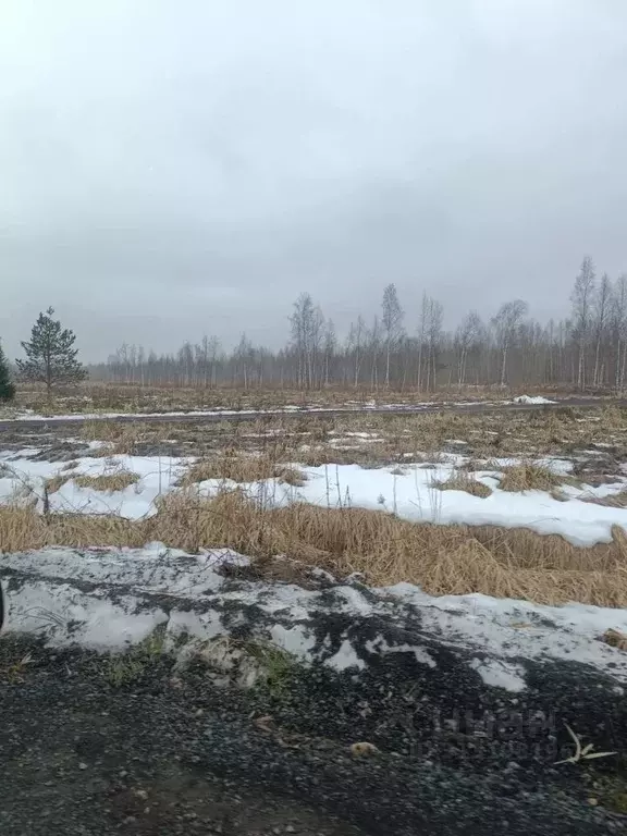 Участок в Ленинградская область, Всеволожский район, Куйвозовское ... - Фото 0