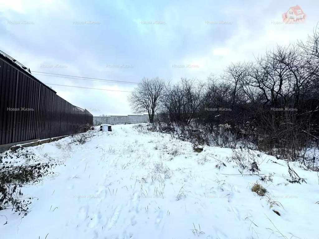 Участок в деревня Мамоново, Дорожная улица (5 м) - Фото 1