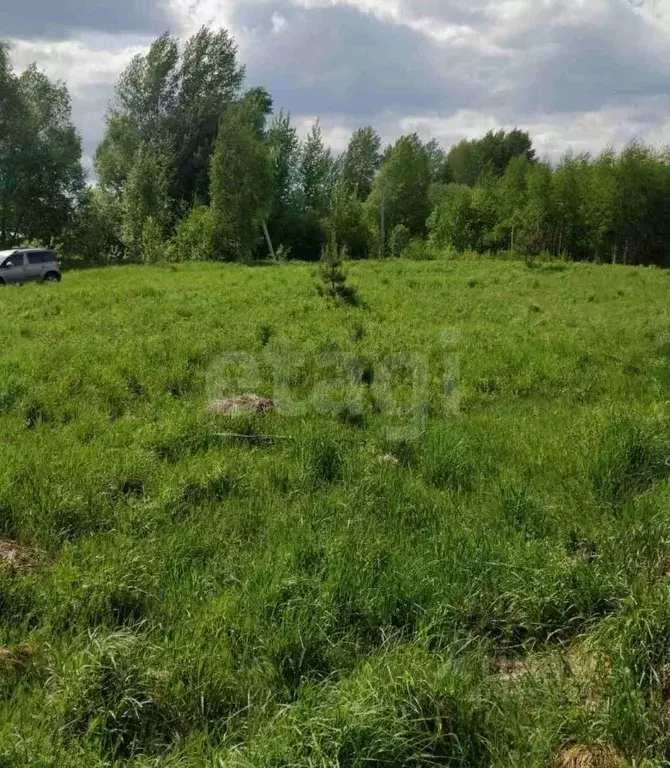 Участок в Вологодская область, д. Евлашево  (12.0 сот.) - Фото 1