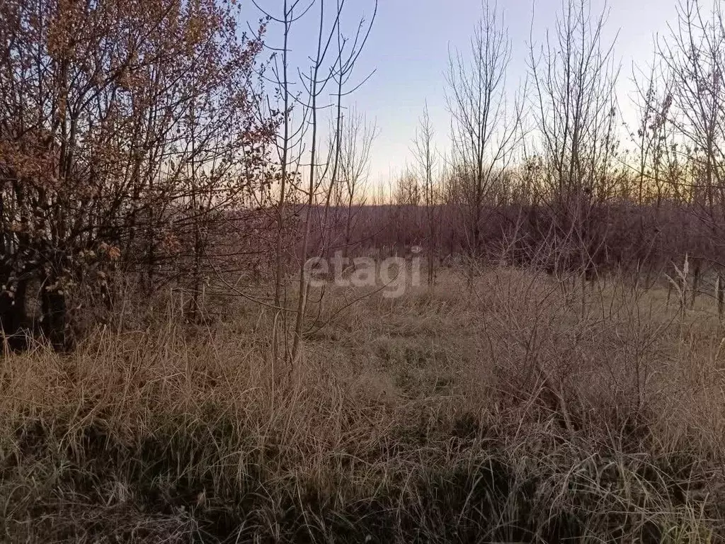 Участок в Ростовская область, Родионово-Несветайская сл.  (18.0 сот.) - Фото 0