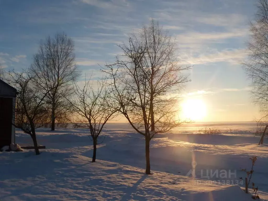 Дом в Нижегородская область, Городецкий муниципальный округ, д. ... - Фото 2
