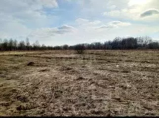 Участок в Калужская область, Ульяново с/пос, с. Медынцево  (1138.04 ... - Фото 1