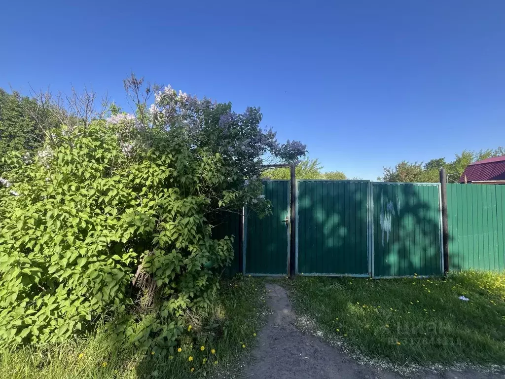 Дом в Омская область, Большеречье рп ул. Пушкина, 6 (81 м) - Фото 1
