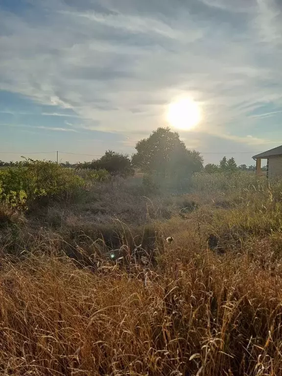 Участок в Краснодарский край, Ейский район, Кухаривское с/пос, с. ... - Фото 1