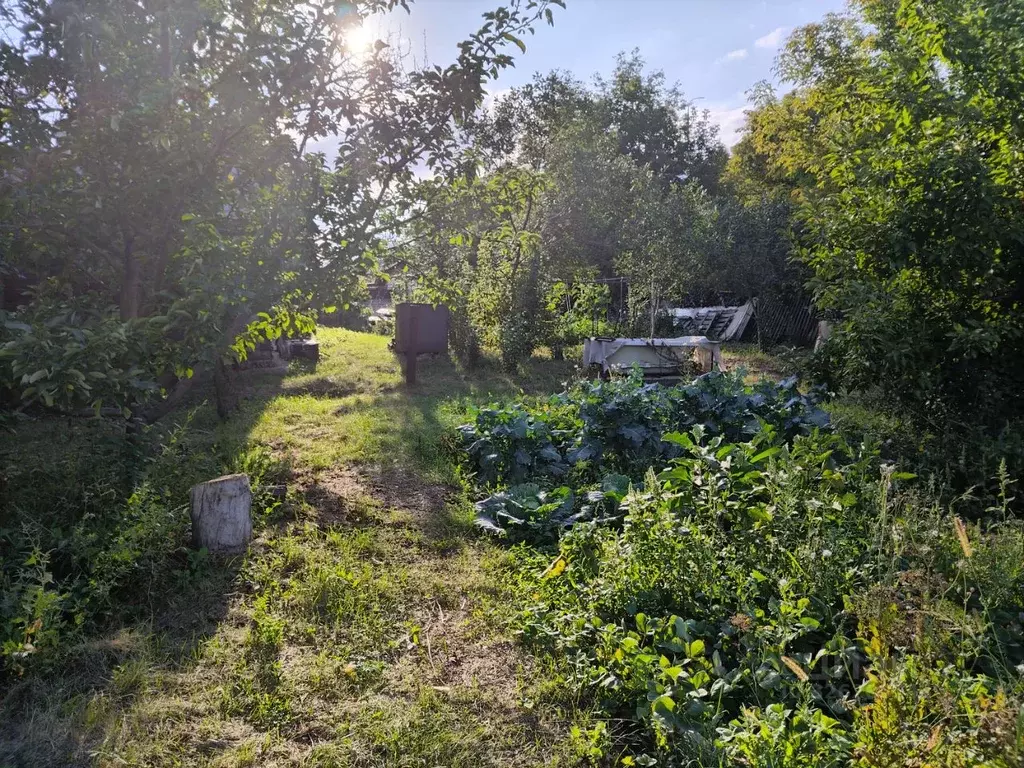 Участок в Оренбургская область, Оренбург Ситцовка мкр, ул. Невская ... - Фото 1