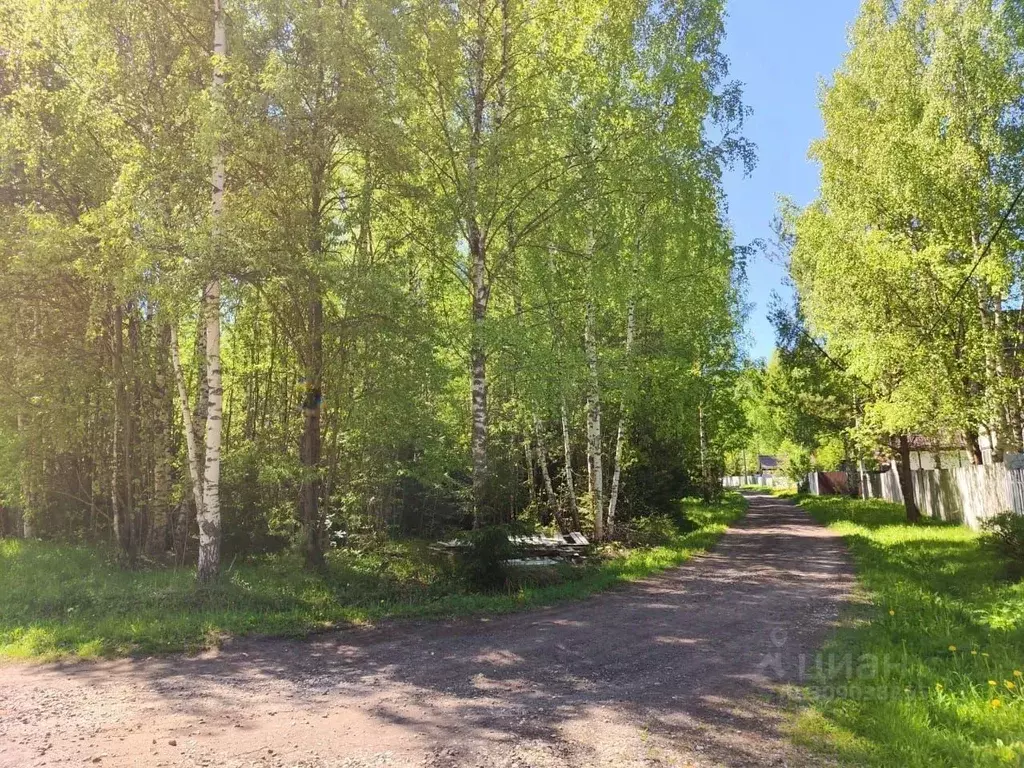 Участок в Владимирская область, Александровский район, ... - Фото 1