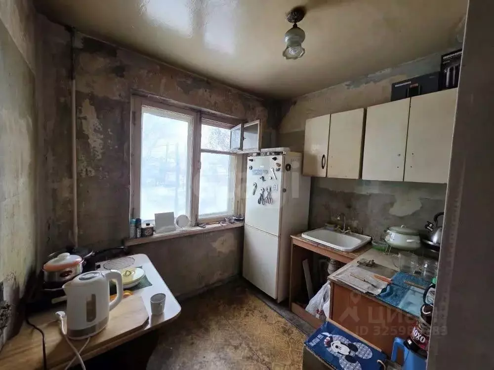 2-к кв. Алтайский край, Барнаул Новороссийская ул., 11 (45.6 м) - Фото 2