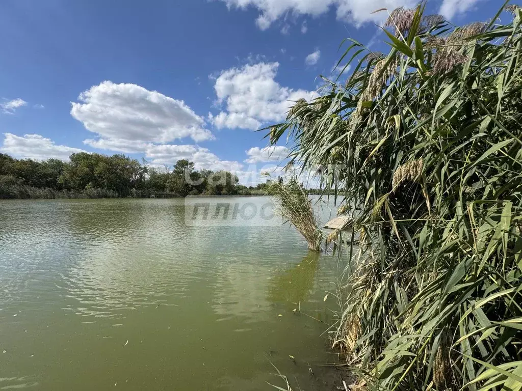 Участок в Краснодарский край, Динской район, с. Красносельское, ... - Фото 2