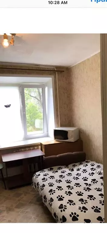 1-к кв. Самарская область, Самара ул. Свободы, 20А (16.0 м) - Фото 1