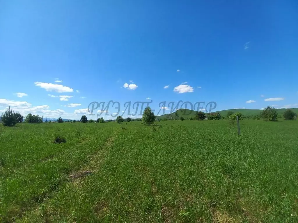 Участок в Алтай, Майминский район, с. Подгорное ул. Спортивная (10.0 ... - Фото 2