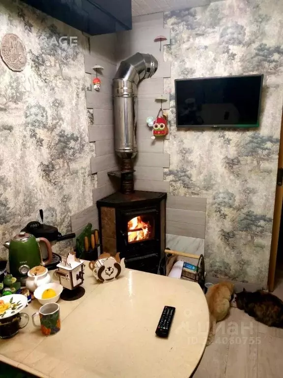 Дом в Новосибирская область, Коченево рп ул. Попова, 8 (62 м) - Фото 1