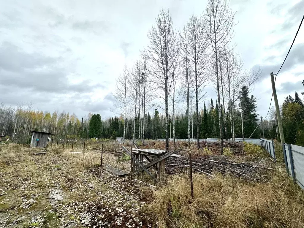 Участок в Ханты-Мансийский АО, Ханты-Мансийск Киновидеопредприятие ... - Фото 2