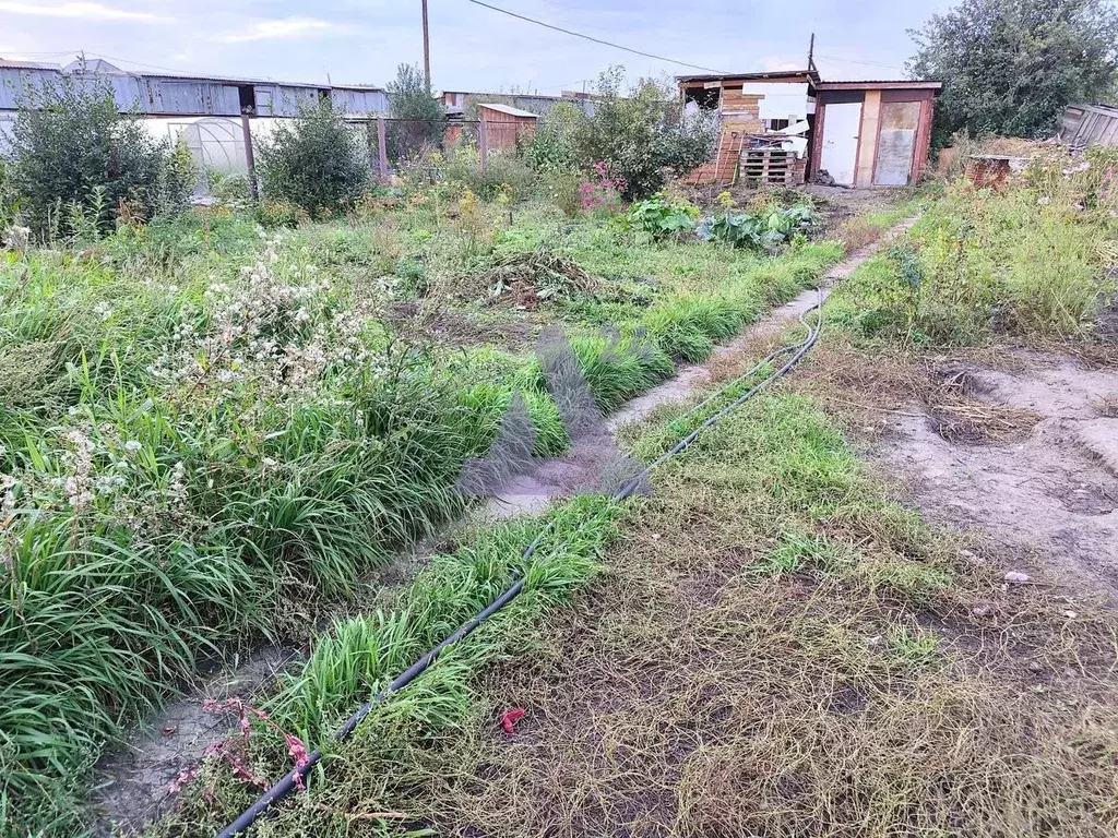 Дом в Алтайский край, Павловский район, Заря СНТ ул. Полевая (20 м) - Фото 0