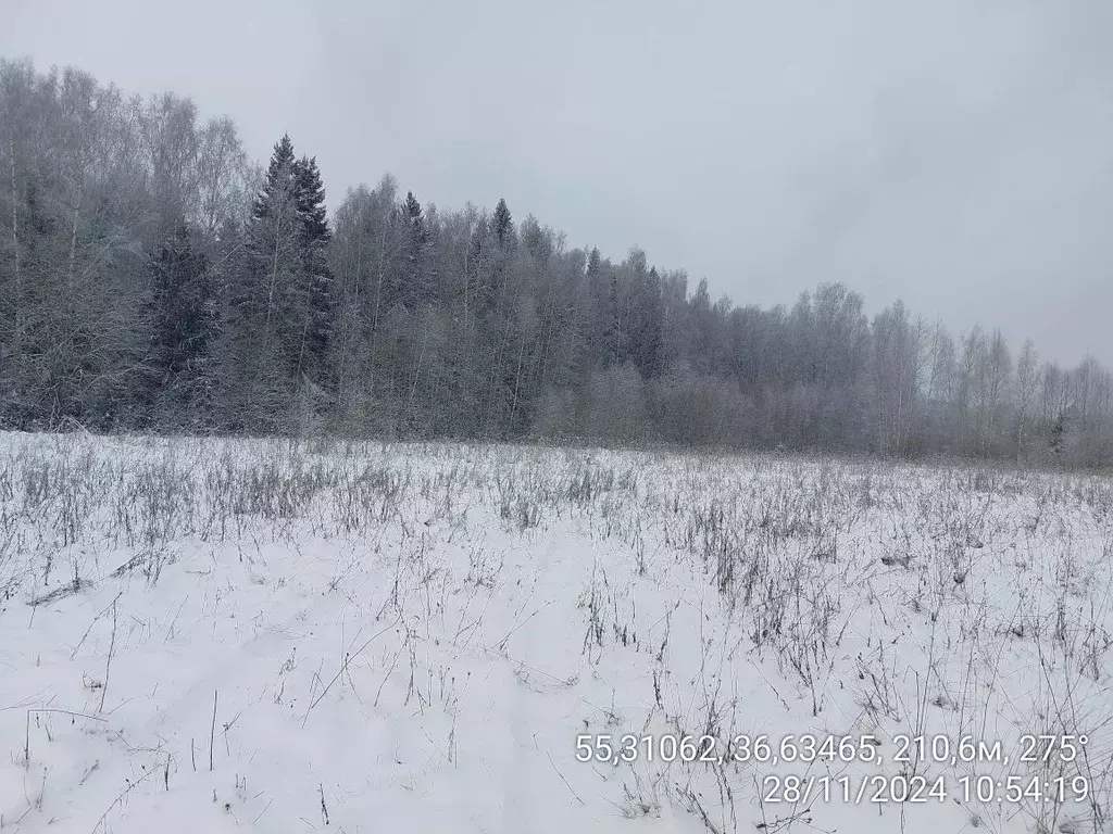 Участок в Московская область, Наро-Фоминский городской округ, пос. ... - Фото 1