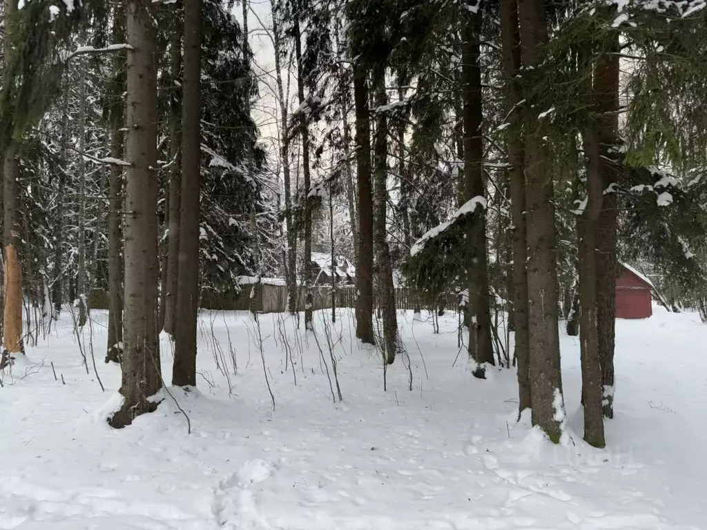 Участок в Московская область, Солнечногорск городской округ, Поварово ... - Фото 0