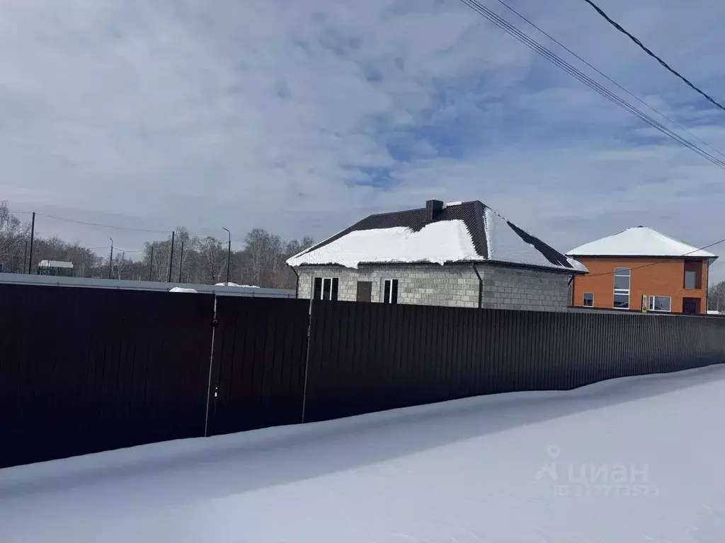 Коттедж в Челябинская область, с. Еткуль ул. Солнечная, 28 (174 м) - Фото 2