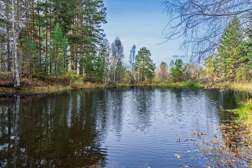 Дом в Свердловская область, Екатеринбург муниципальное образование, ... - Фото 2