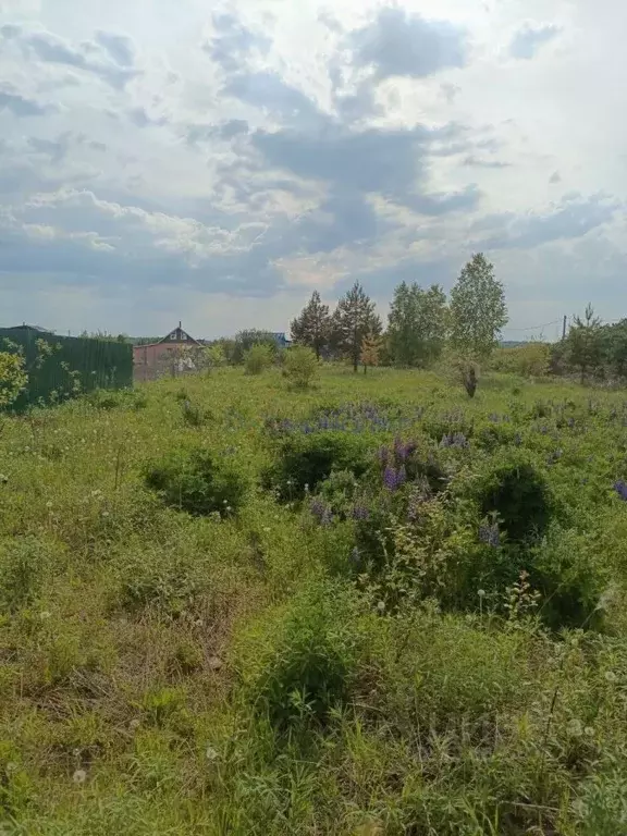 Участок в Нижегородская область, Балахнинский муниципальный округ, д. ... - Фото 1