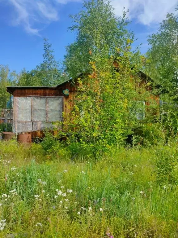 Дом в Саха (Якутия), Якутск городской округ, с. Маган  (36 м) - Фото 2