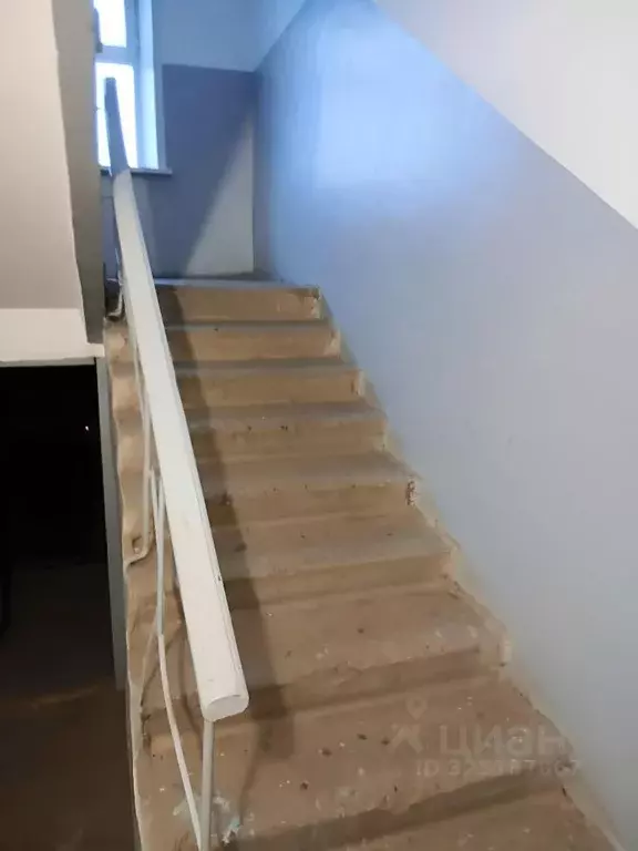 2-к кв. Алтайский край, Рубцовск просп. Ленина, 62 (52.37 м) - Фото 2