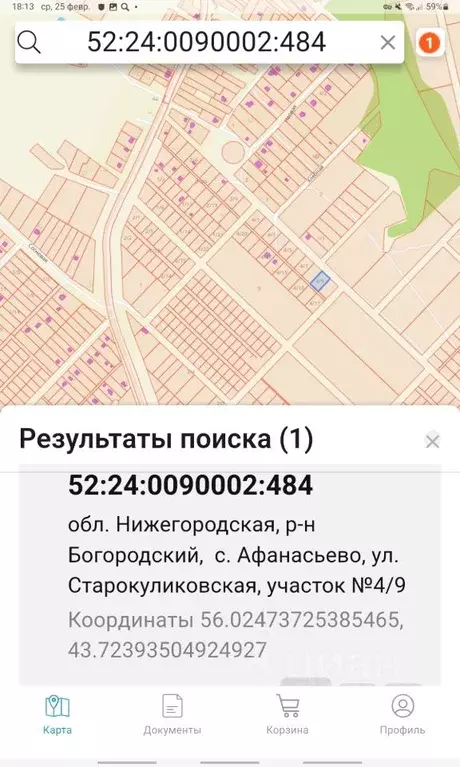 Участок в Нижегородская область, Богородский муниципальный округ, с. ... - Фото 1