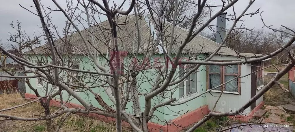 Дом в Ростовская область, Азовский район, Рогожкино хут. Первомайская ... - Фото 1