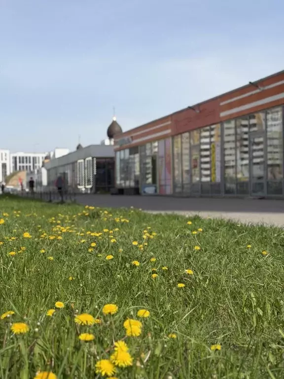 Торговая площадь в Санкт-Петербург Парашютная ул., 65с1В (290 м) - Фото 1