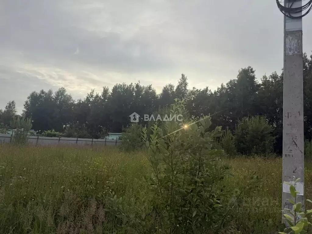 Участок в Московская область, Сергиево-Посадский городской округ, д. ... - Фото 2