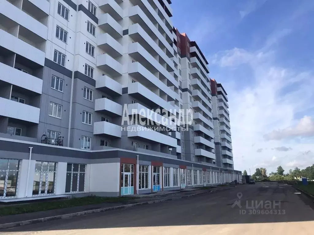 Студия Санкт-Петербург пос. Шушары, Московское ш., 258к2 (27.1 м) - Фото 1