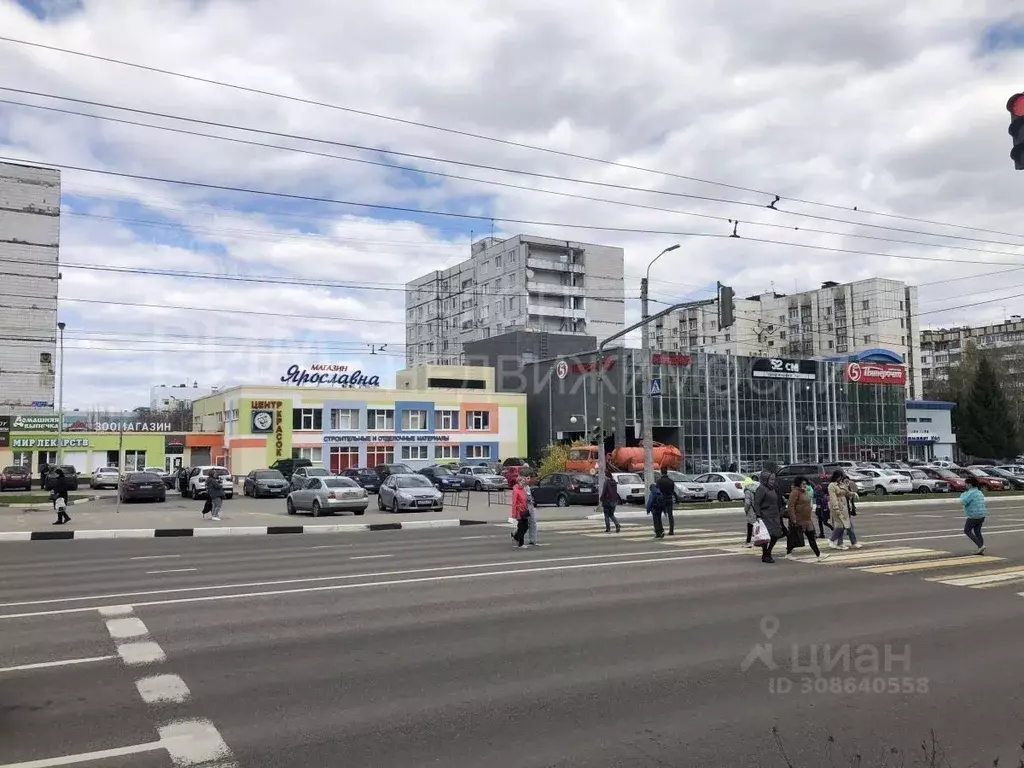 Торговая площадь в Белгородская область, Белгород ул. Губкина, 44а ... - Фото 1