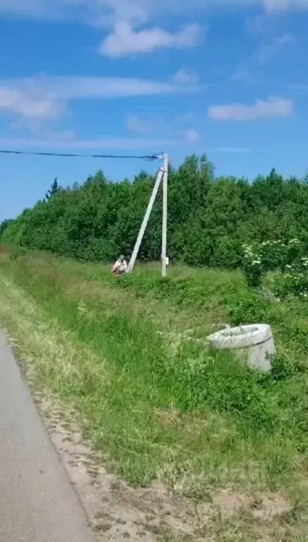 Участок в Калининградская область, Зеленоградск пос. Сосновка,  (100.0 ... - Фото 1