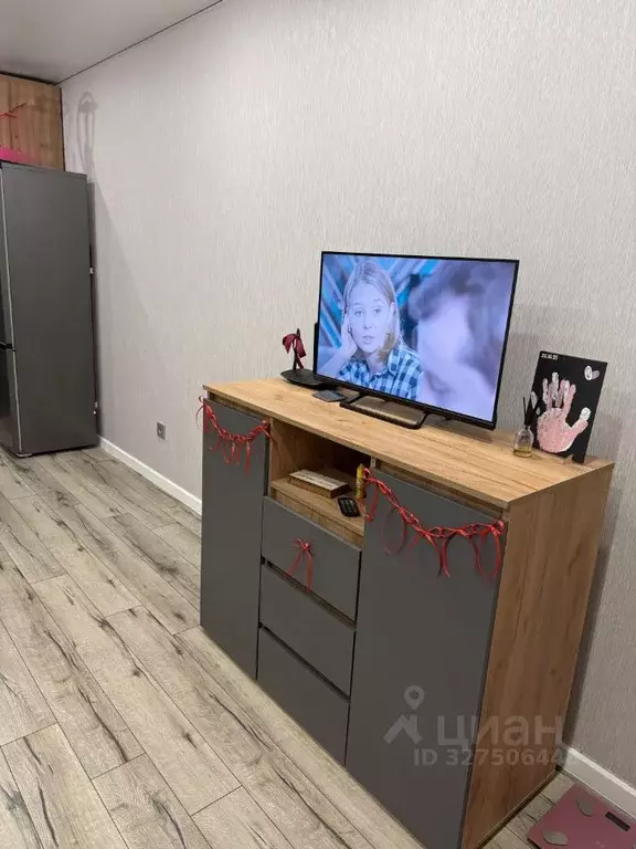 Студия Кировская область, Киров ул. Потребкооперации, 46 (26.0 м) - Фото 2