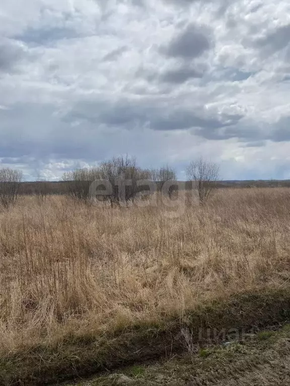 Участок в Амурская область, Благовещенский район, с. Новотроицкое  ... - Фото 1